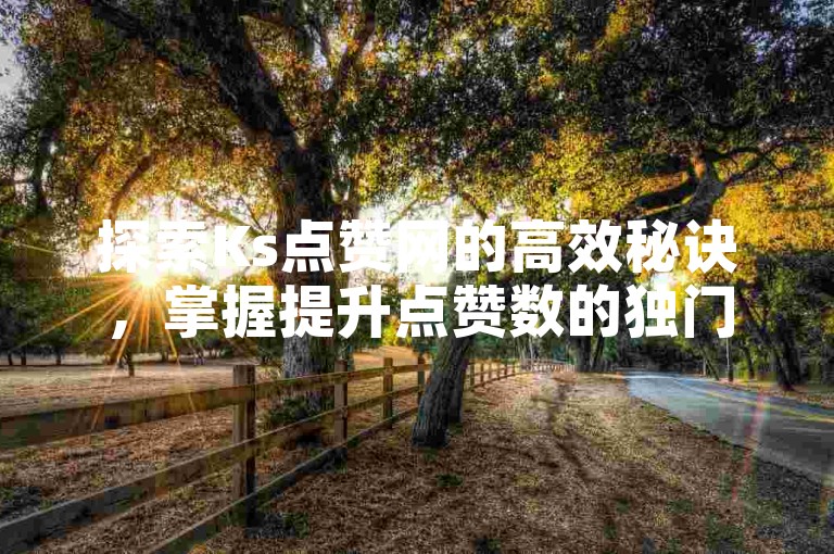 探索Ks点赞网的高效秘诀，掌握提升点赞数的独门技巧！