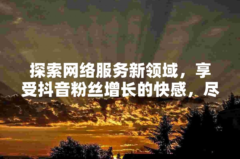探索网络服务新领域，享受抖音粉丝增长的快感，尽在专业刷粉平台，提供低价自助下单服务，让你的QQ空间人气飙升，激情燃烧！