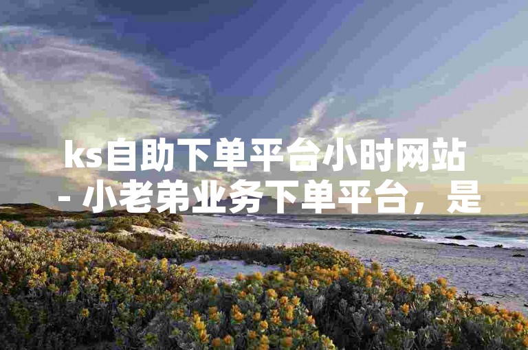 ks自助下单平台小时网站 - 小老弟业务下单平台，是一个提供便捷服务的网络平台。