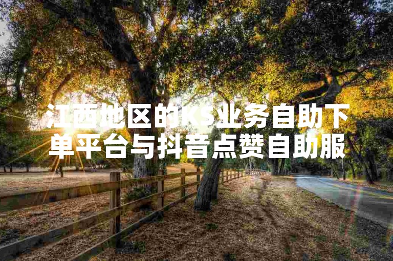 江西地区的KS业务自助下单平台与抖音点赞自助服务网站。