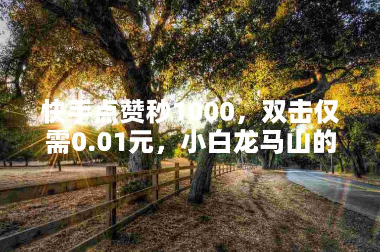 快手点赞秒1000，双击仅需0.01元，小白龙马山的大地房产装修，瞬间焕发新生！