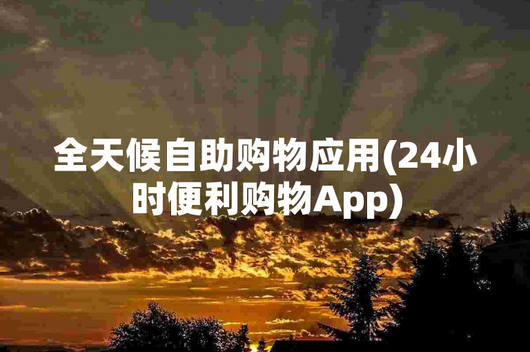 全天候自助购物应用(24小时便利购物App)