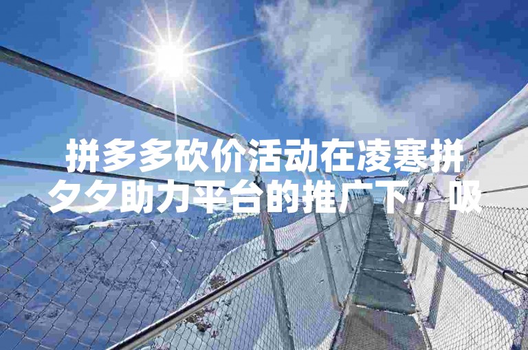 拼多多砍价活动在凌寒拼夕夕助力平台的推广下，吸引了众多用户参与。