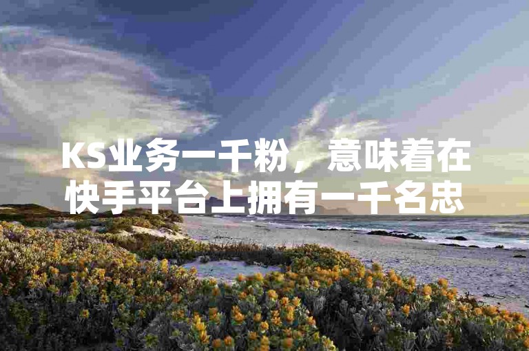 KS业务一千粉，意味着在快手平台上拥有一千名忠实粉丝，这是创作者影响力和受欢迎程度的初步体现。
