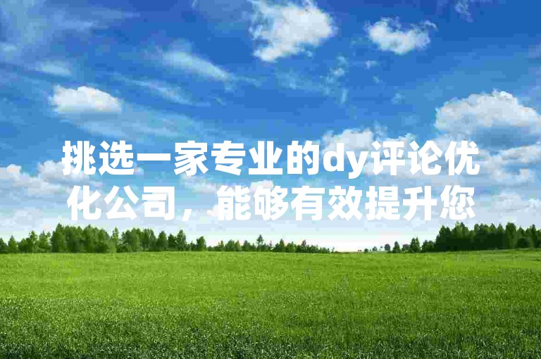 挑选一家专业的dy评论优化公司，能够有效提升您网站的访问量及用户参与度。