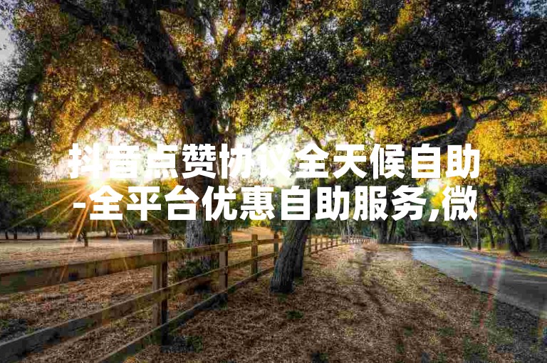 抖音点赞协议全天候自助-全平台优惠自助服务,微信小号