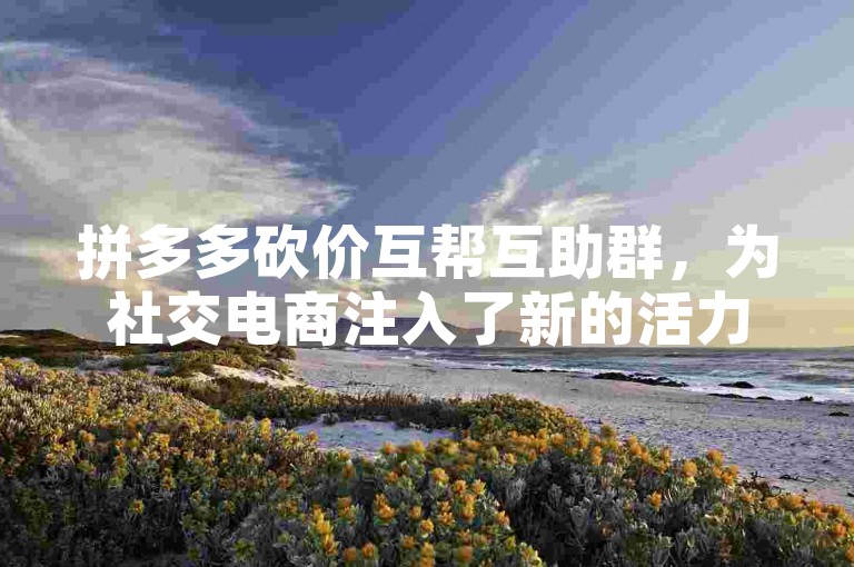 拼多多砍价互帮互助群，为社交电商注入了新的活力。