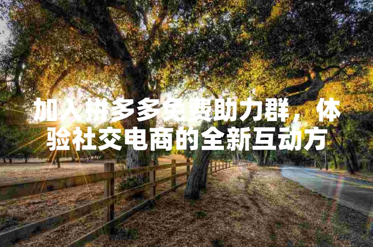 加入拼多多免费助力群，体验社交电商的全新互动方式。
