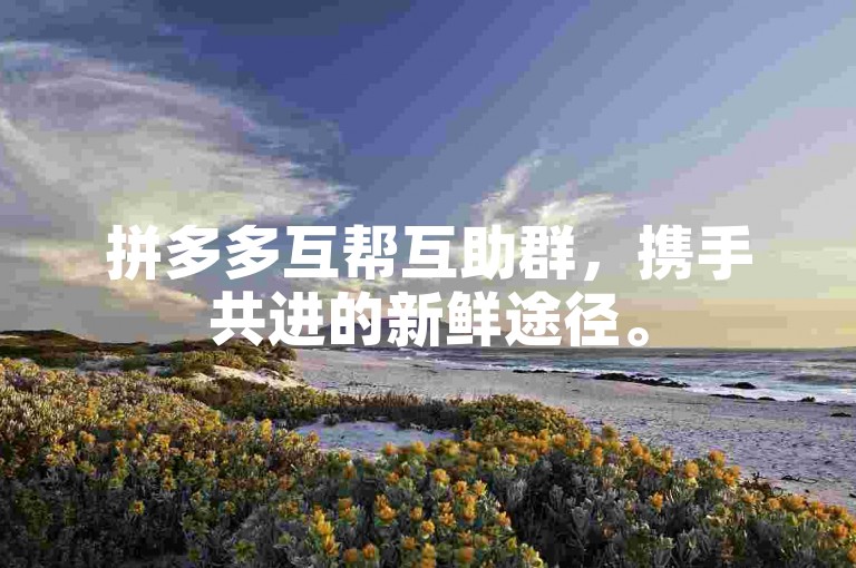 拼多多互帮互助群，携手共进的新鲜途径。