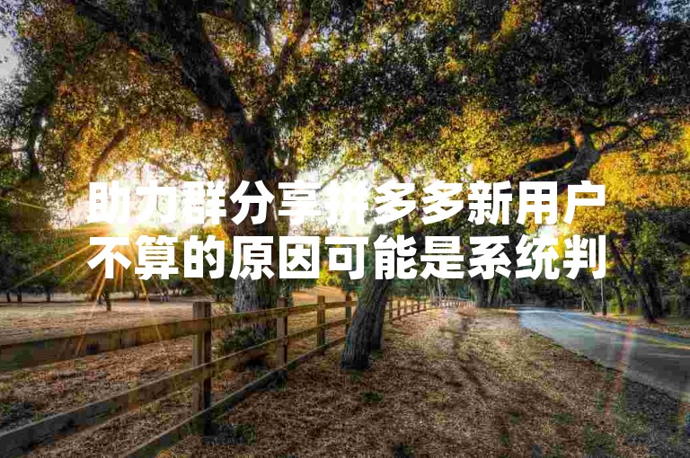 助力群分享拼多多新用户不算的原因可能是系统判定异常或违规操作。