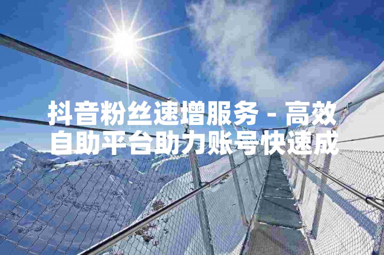 抖音粉丝速增服务 - 高效自助平台助力账号快速成长