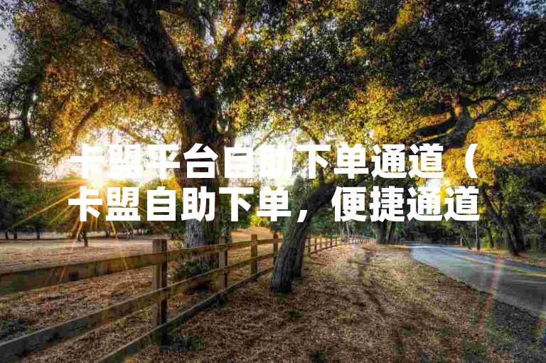 卡盟平台自助下单通道（卡盟自助下单，便捷通道深度剖析）