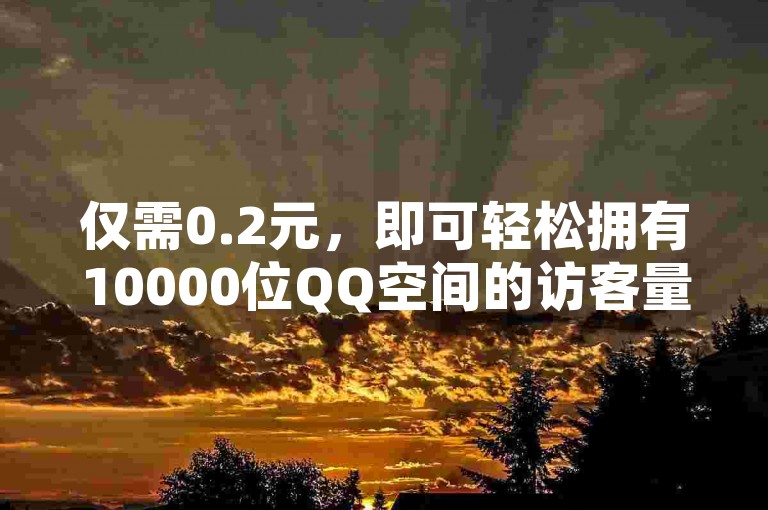 仅需0.2元，即可轻松拥有10000位QQ空间的访客量。
