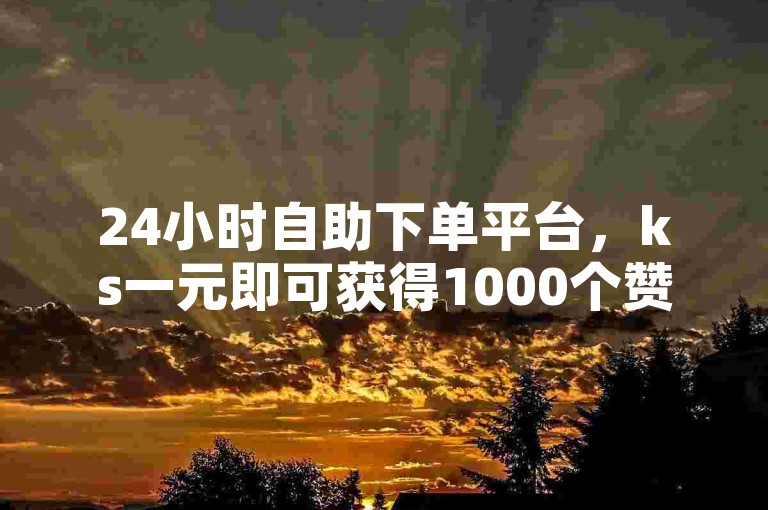 24小时自助下单平台，ks一元即可获得1000个赞，软件秒速送达。
