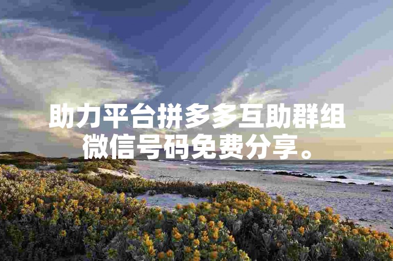 助力平台拼多多互助群组微信号码免费分享。