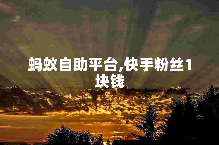 蚂蚁自助平台,快手粉丝1块钱50个。