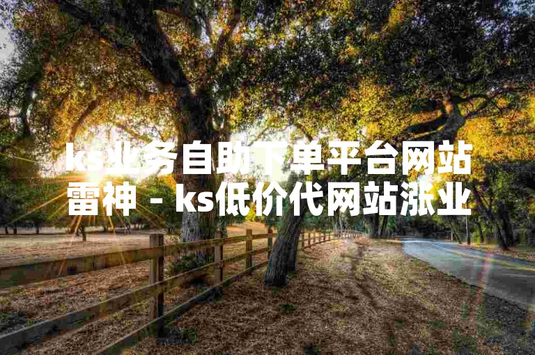 ks业务自助下单平台网站雷神 - ks低价代网站涨业务