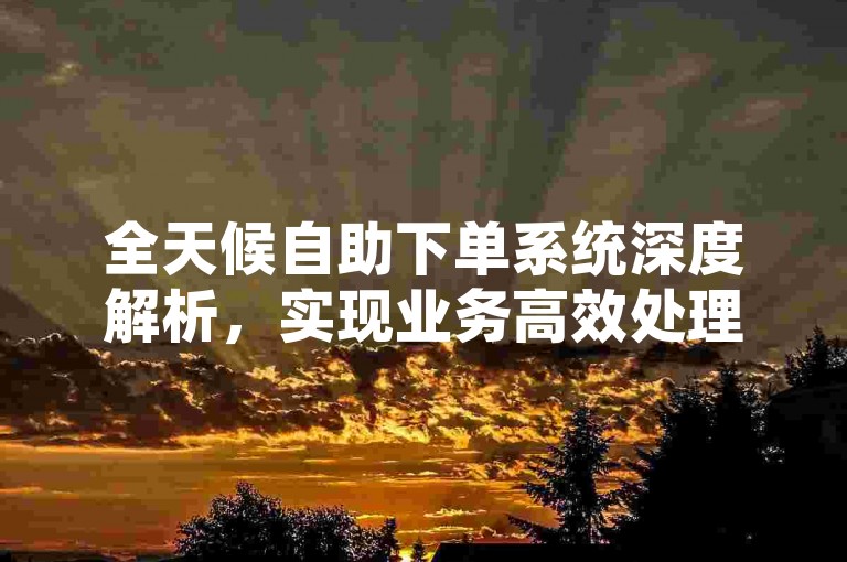 全天候自助下单系统深度解析，实现业务高效处理的智能平台，2025年必备技能！