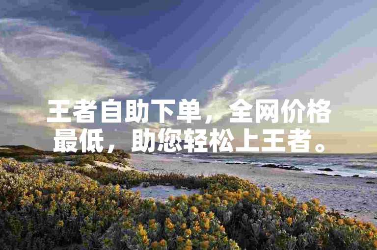 王者自助下单，全网价格最低，助您轻松上王者。