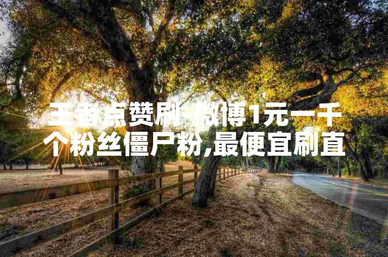 王者点赞刷-微博1元一千个粉丝僵尸粉,最便宜刷直播人气。