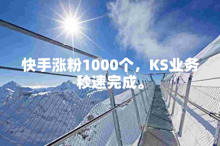 快手涨粉1000个，KS业务秒速完成。