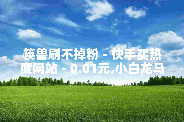 筷兽刷不掉粉 - 快手买热度网站 - 0.01元,小白龙马山有限责任公司