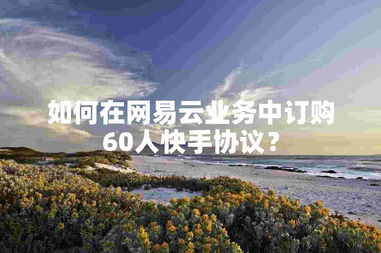 如何在网易云业务中订购60人快手协议？