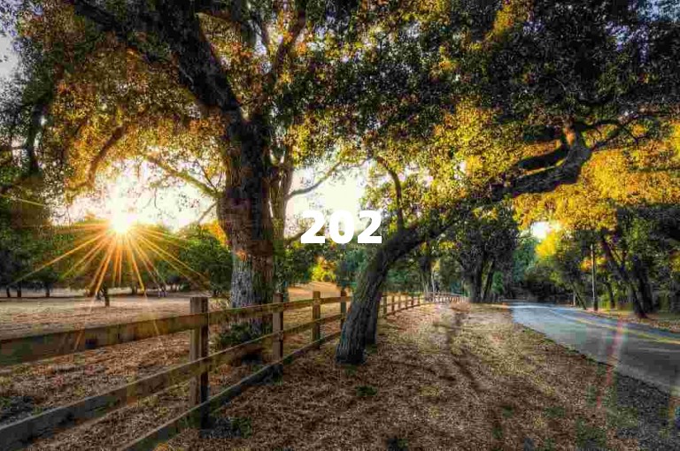 2025年拼多多助力群将通过免费微信平台，为用户提供更多优惠和互动机会。