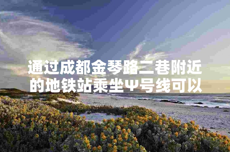 通过成都金琴路二巷附近的地铁站乘坐Ψ号线可以便捷地到达目的地，同时，寻找最便宜的24小时自助下单软件下载可在网上轻松实现。