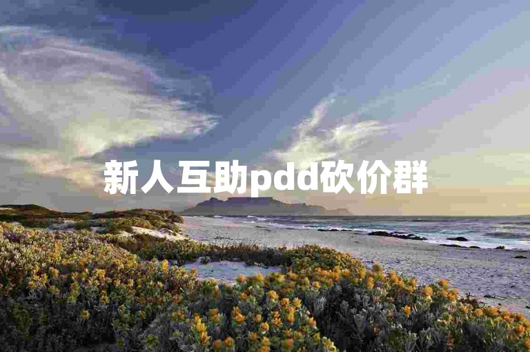 新人互助pdd砍价群