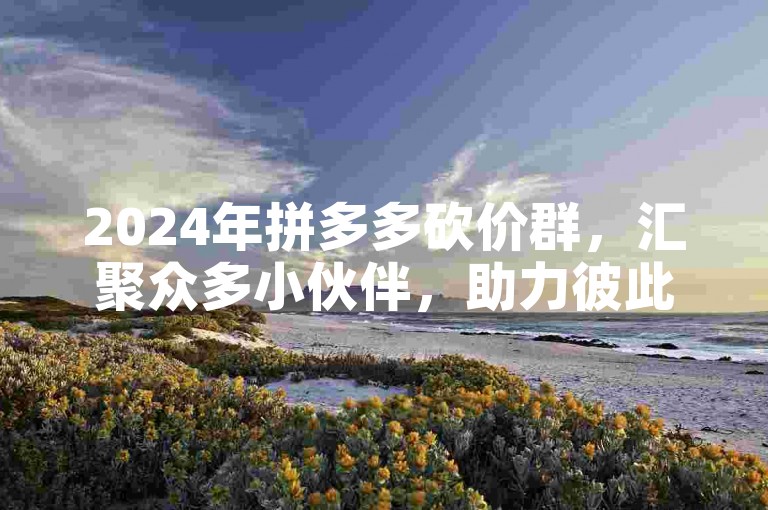 2024年拼多多砍价群，汇聚众多小伙伴，助力彼此在PDD砍价平台轻松得实惠。
