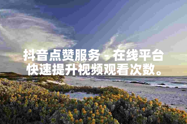 抖音点赞服务 - 在线平台快速提升视频观看次数。