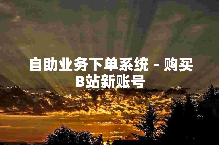 自助业务下单系统 - 购买B站新账号