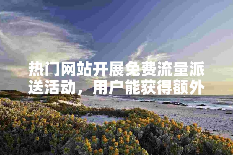 热门网站开展免费流量派送活动，用户能获得额外的浏览量。