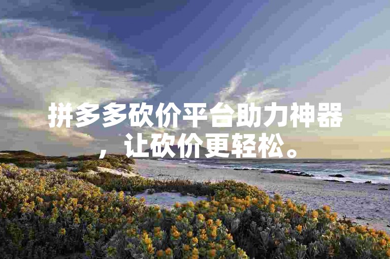 拼多多砍价平台助力神器，让砍价更轻松。