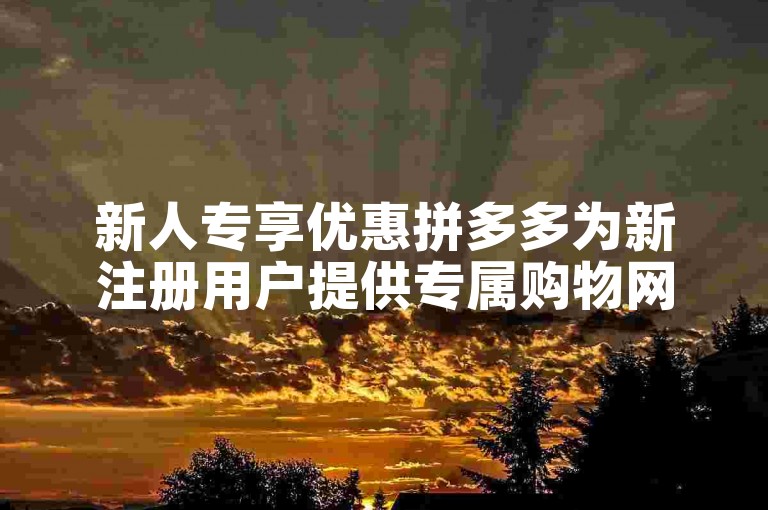 新人专享优惠拼多多为新注册用户提供专属购物网站。