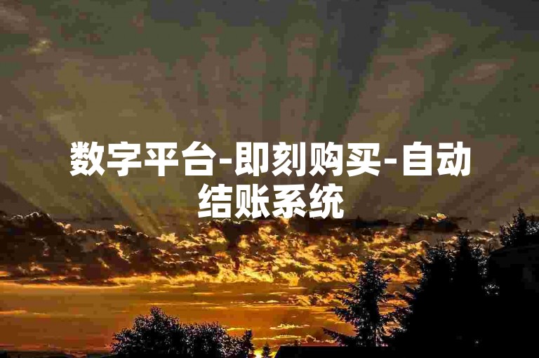 数字平台-即刻购买-自动结账系统