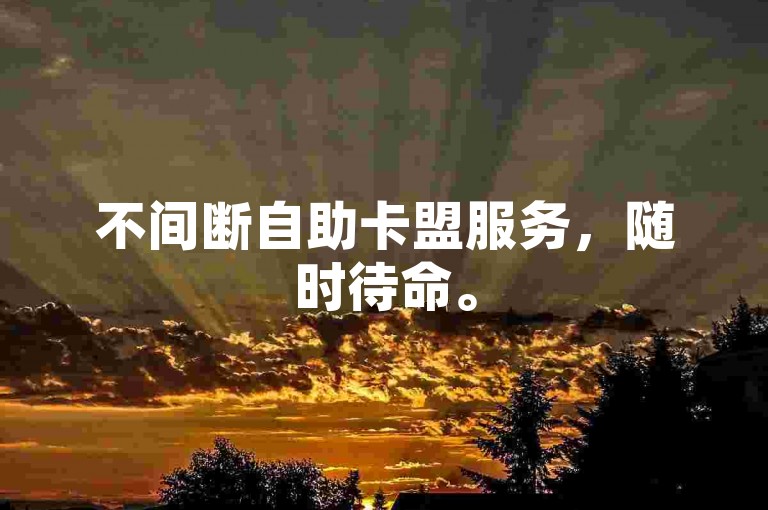 不间断自助卡盟服务，随时待命。