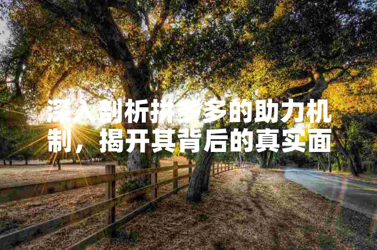 深入剖析拼多多的助力机制，揭开其背后的真实面貌。