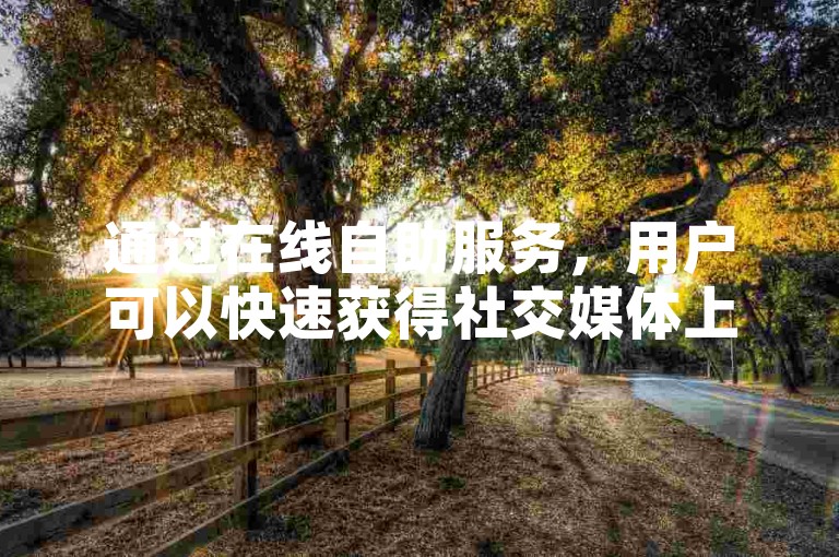 通过在线自助服务，用户可以快速获得社交媒体上的免费点赞支持。