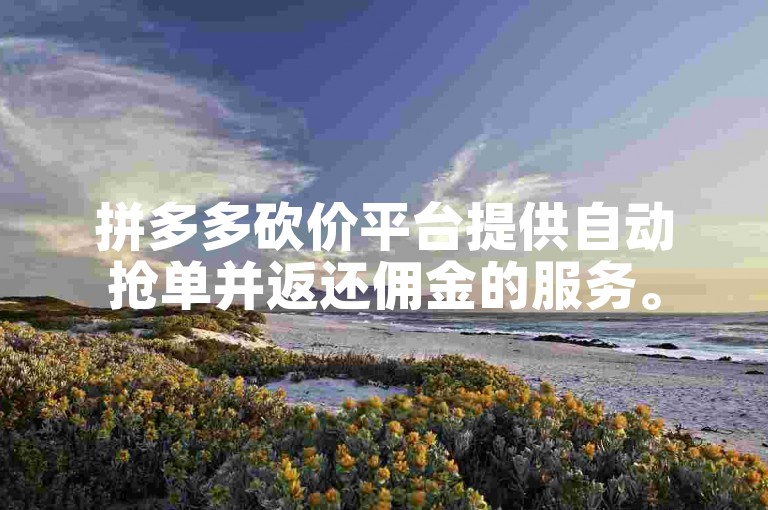 拼多多砍价平台提供自动抢单并返还佣金的服务。
