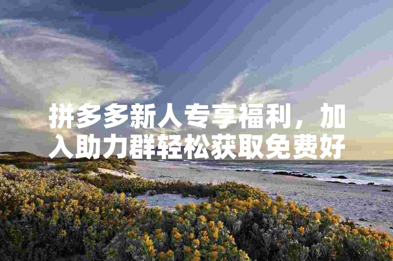 拼多多新人专享福利，加入助力群轻松获取免费好物。