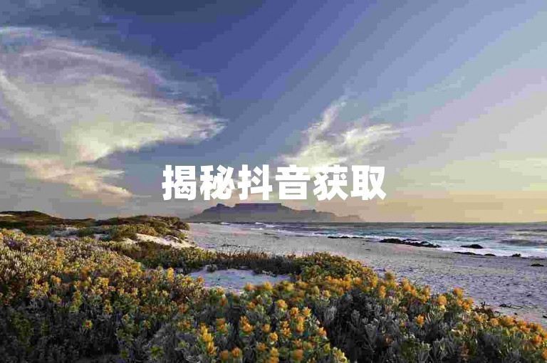 揭秘抖音获取500点赞的高效策略，掌握这些技巧，让你在2025年轻松赢得更多点赞！