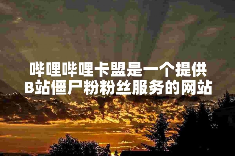 哔哩哔哩卡盟是一个提供B站僵尸粉粉丝服务的网站。