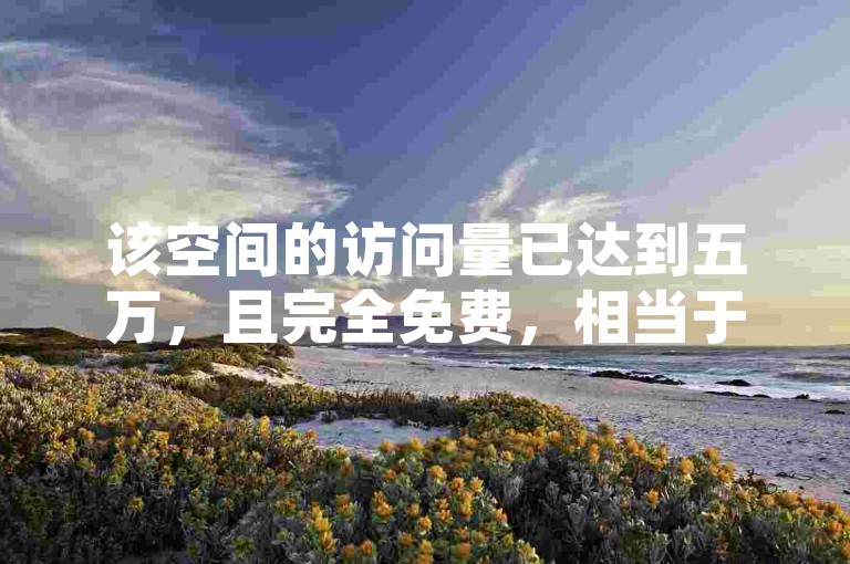 该空间的访问量已达到五万，且完全免费，相当于拥有了十万名虚拟访客。