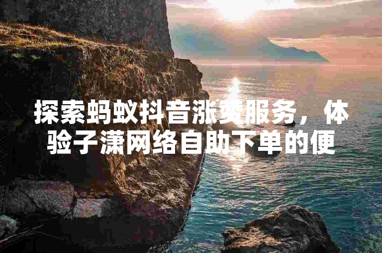 探索蚂蚁抖音涨赞服务，体验子潇网络自助下单的便捷与高效。
