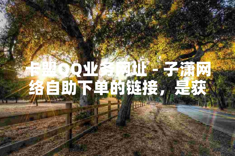 卡盟QQ业务网址 - 子潇网络自助下单的链接，是获取相关服务的重要途径。