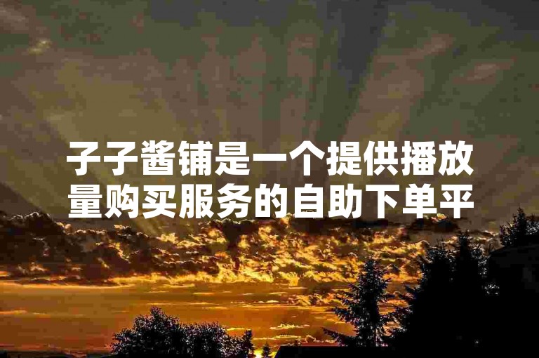 子子酱铺是一个提供播放量购买服务的自助下单平台。