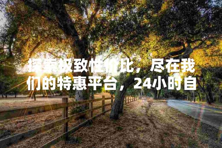 探索极致性价比，尽在我们的特惠平台，24小时自助下单系统，轻松实现QQ空间访客激增，KS在线业务盛大启航！
