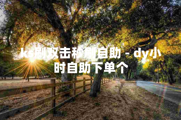 ks刷双击秒刷自助 - dy小时自助下单个
